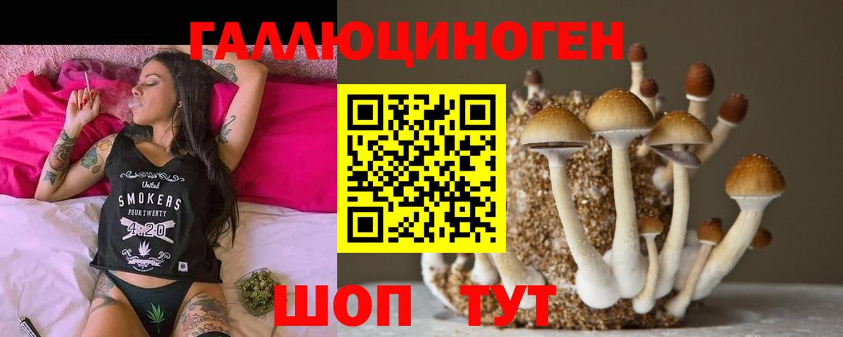Бийск  Псилоцибиновые грибы Cubensis  Вход с VPN 
